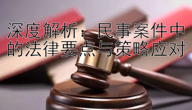 深度解析：民事案件中的法律要点与策略应对