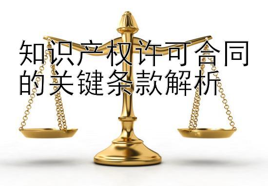 知识产权许可合同的关键条款解析