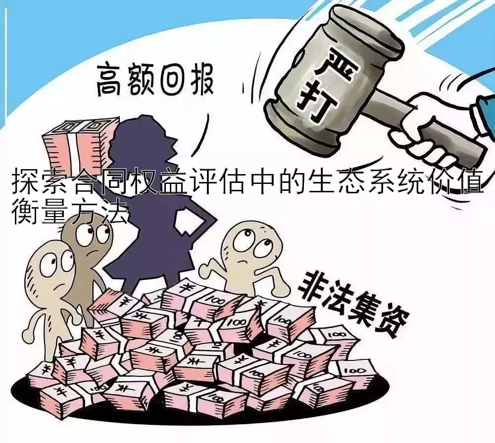 探索合同权益评估中的生态系统价值衡量方法